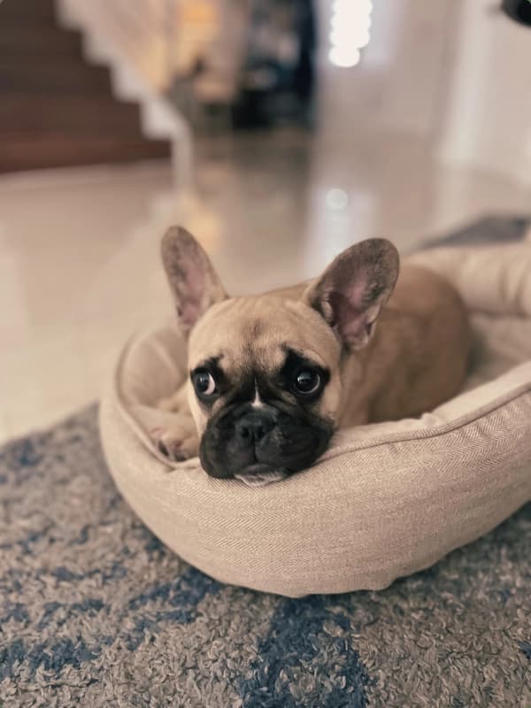 Real Home Comfort
